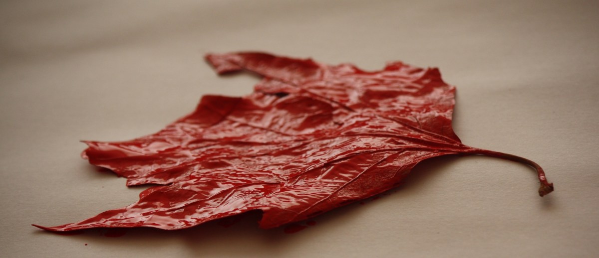 hoja roja