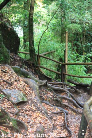 escaleras-naturales-caburga