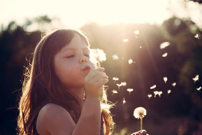 lacapsadefotos-fotografia