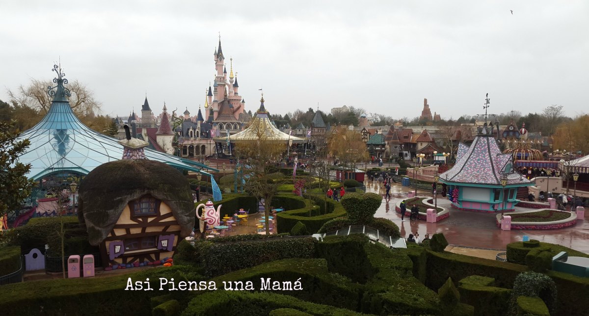 vistas-parque-disney