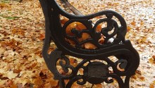 Banco-hojas-otoño
