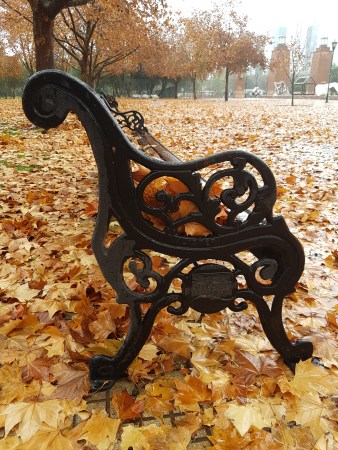 Banco-hojas-otoño