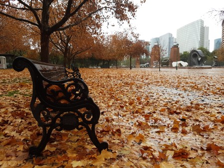 parque-otoño-lluvia