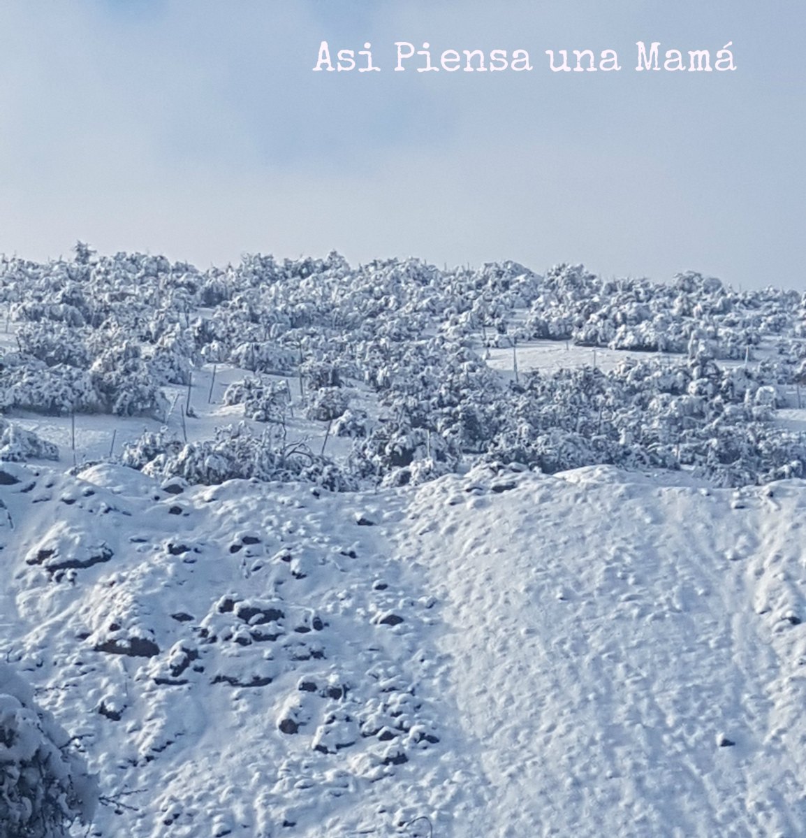 San-carlos-cerro-nevado