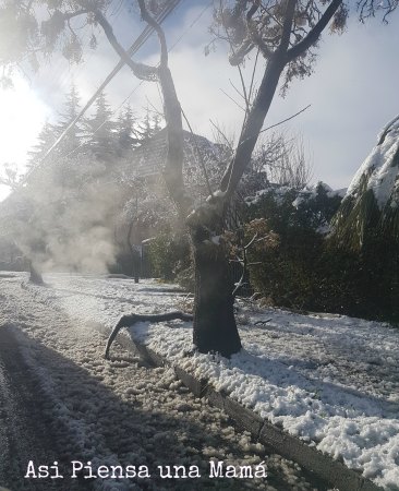 san-carlos-nevado