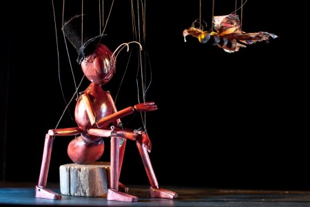 El-circo-de-los-insectos-famfest